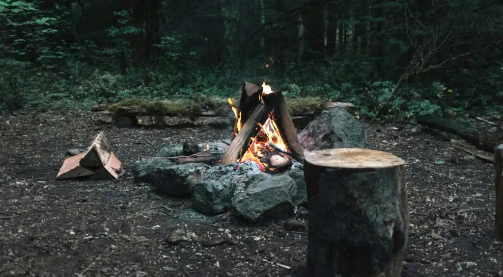 Bushcraft-connemara