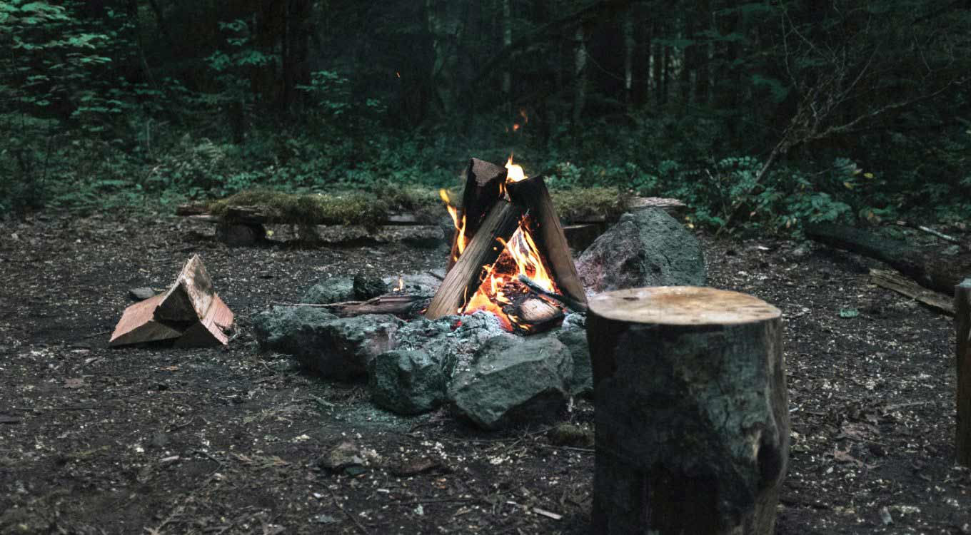 introductory BushCraft Survival session - Delphi Resort