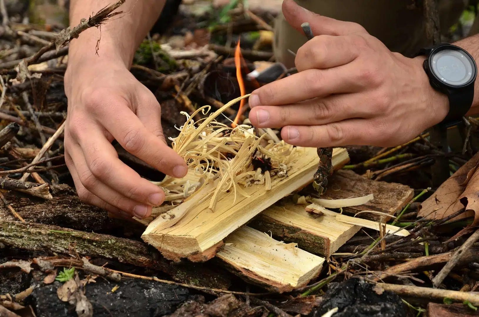 Bushcraft-delphi-resort