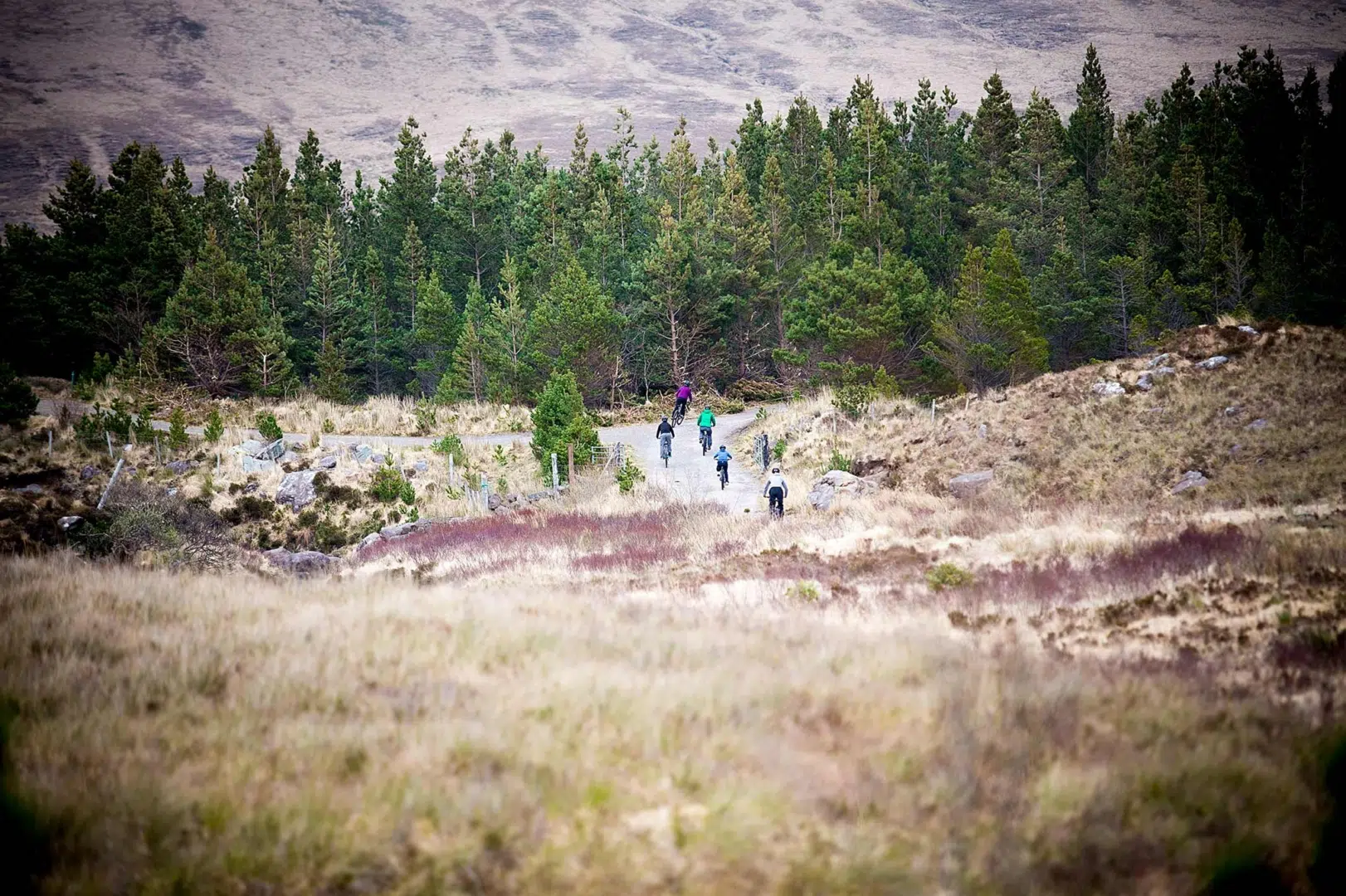 forest-bike-track-cycling in Connemara