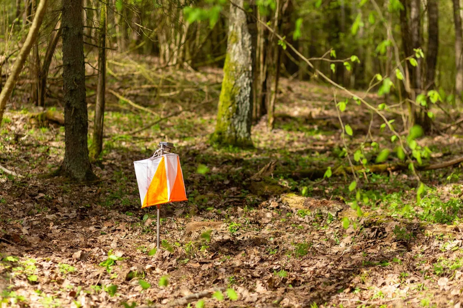 orienteering-challenge-connemara