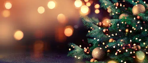 Christmas Tree Background Image